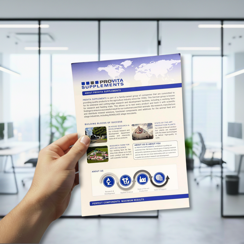 Professional flyer printing for single-sheet marketing handouts and promotions