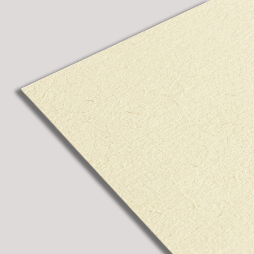 Full-Color Filler Paper