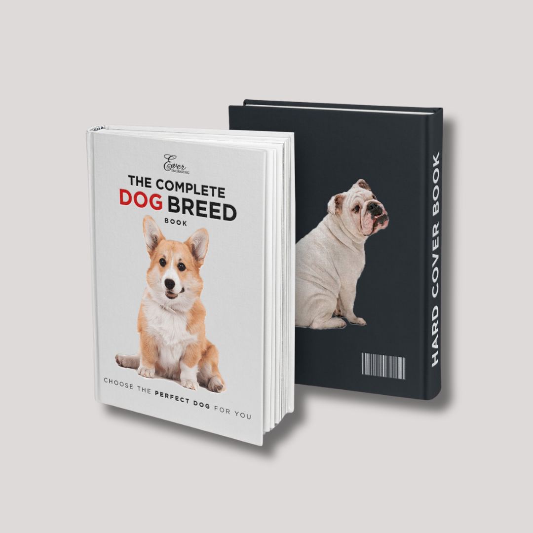 Premium hardcover book binding – professional casebound printing